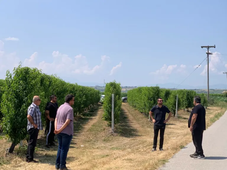 Στελέχη της Agro Q με μέλη οργάνωσης παραγωγών σε επίσκεψη σε οπωρώνα