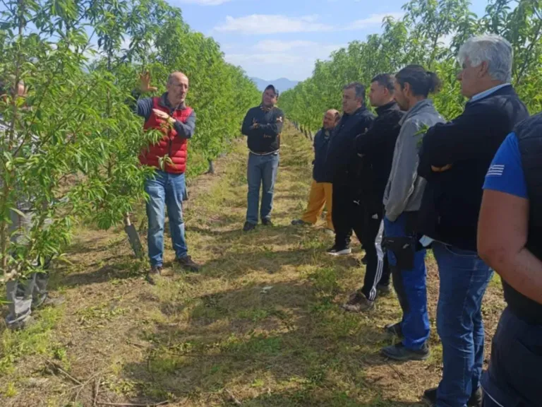 Γεωργικός σύμβουλος της Agro Q εξηγεί σε ομάδα παραγωγών μέσα σε νεαρό οπωρώνα