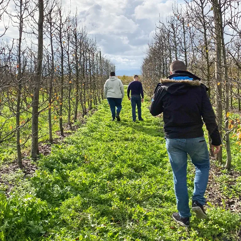 Η ομάδα της Agro Q περπατά μέσα σε νεαρό οπωρώνα